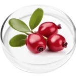 Bearberry