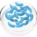FemiCore Lactobacillus Gasseri