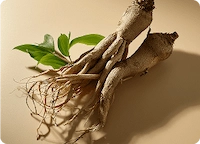 New Era Protect Resveratrol