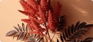 New Era Protect Sumac Extract