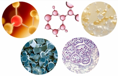 VitaLock Beauty Nutrients