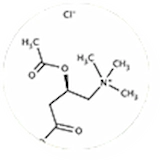 N-Acetyl-L-Carnitine-ALCAR