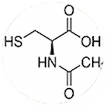 N-Acetyl-L-Cysteine-NAC